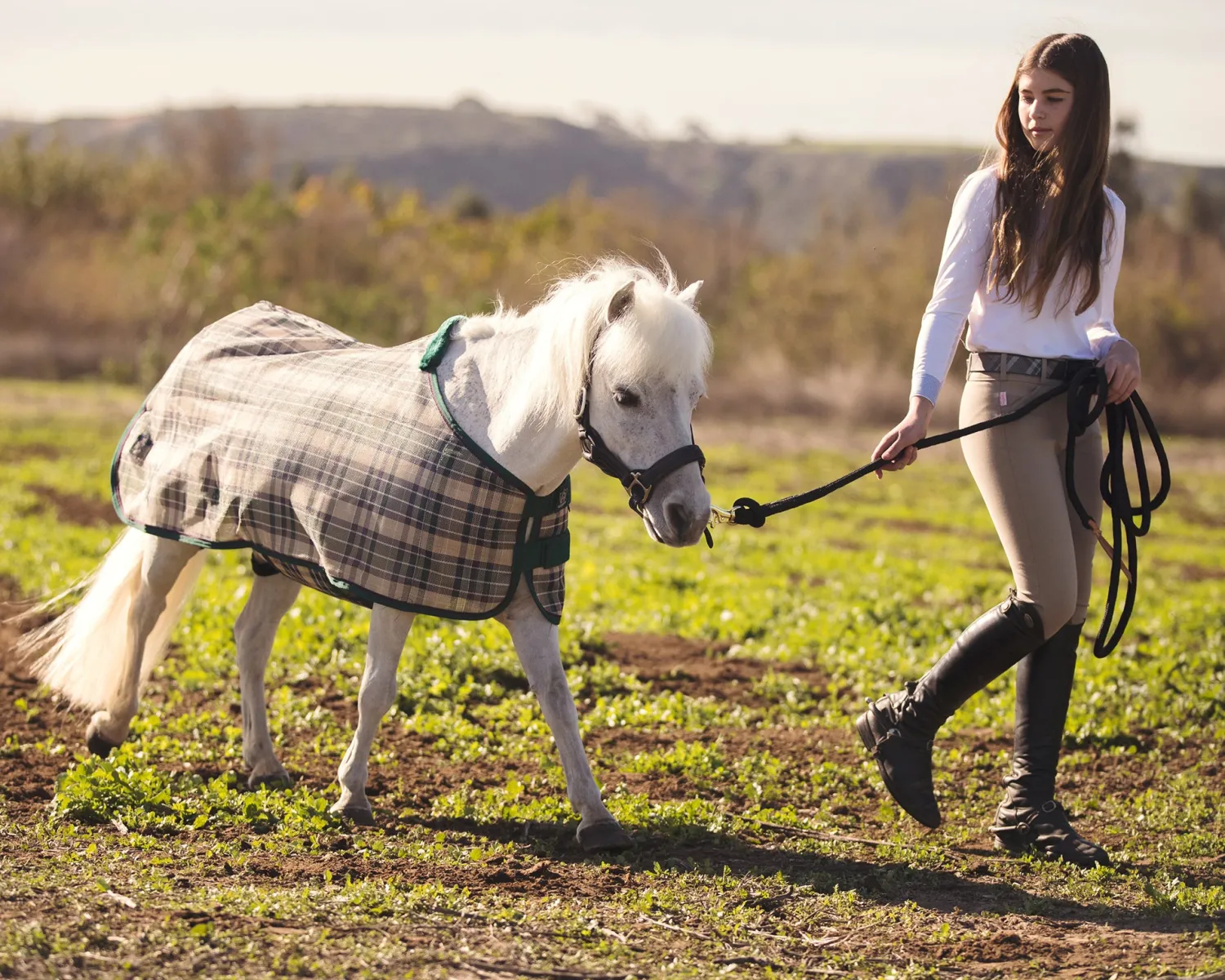 KENSINGTON ™ Mini Signature Textilene® Protective Fly Sheet New