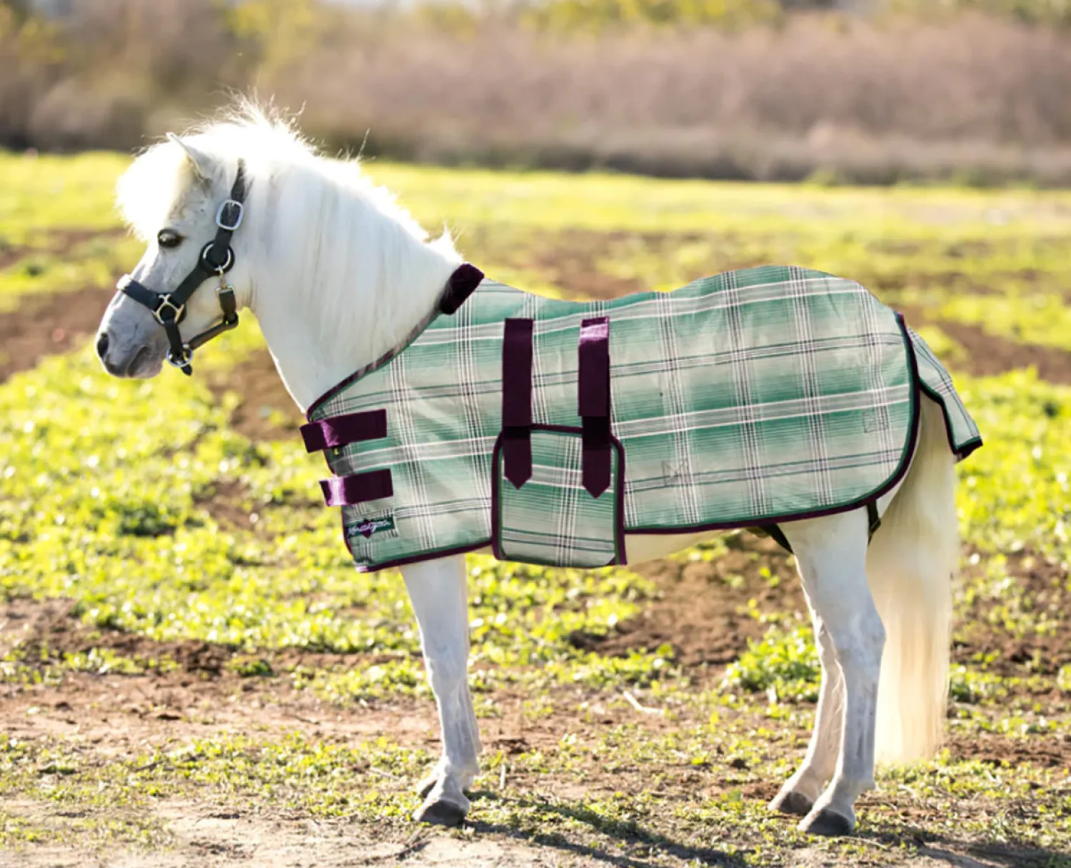 KENSINGTON ™ Mini Signature Textilene® Protective Fly Sheet New