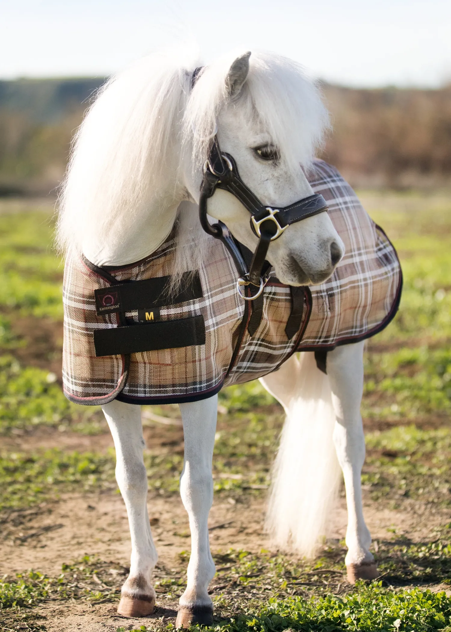 KENSINGTON ™ Mini Signature Textilene® Protective Fly Sheet New