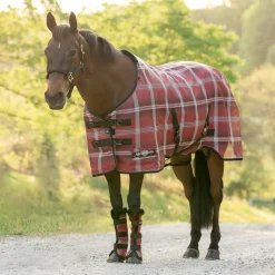 KENSINGTON ™ Pony Protective Sheet SureFit® Hot
