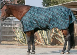 KENSINGTON ™ Pony Signature Medium Weight Turnout Blanket Outlet