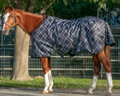 KENSINGTON ™ Pony Signature Medium Weight Turnout Blanket Outlet