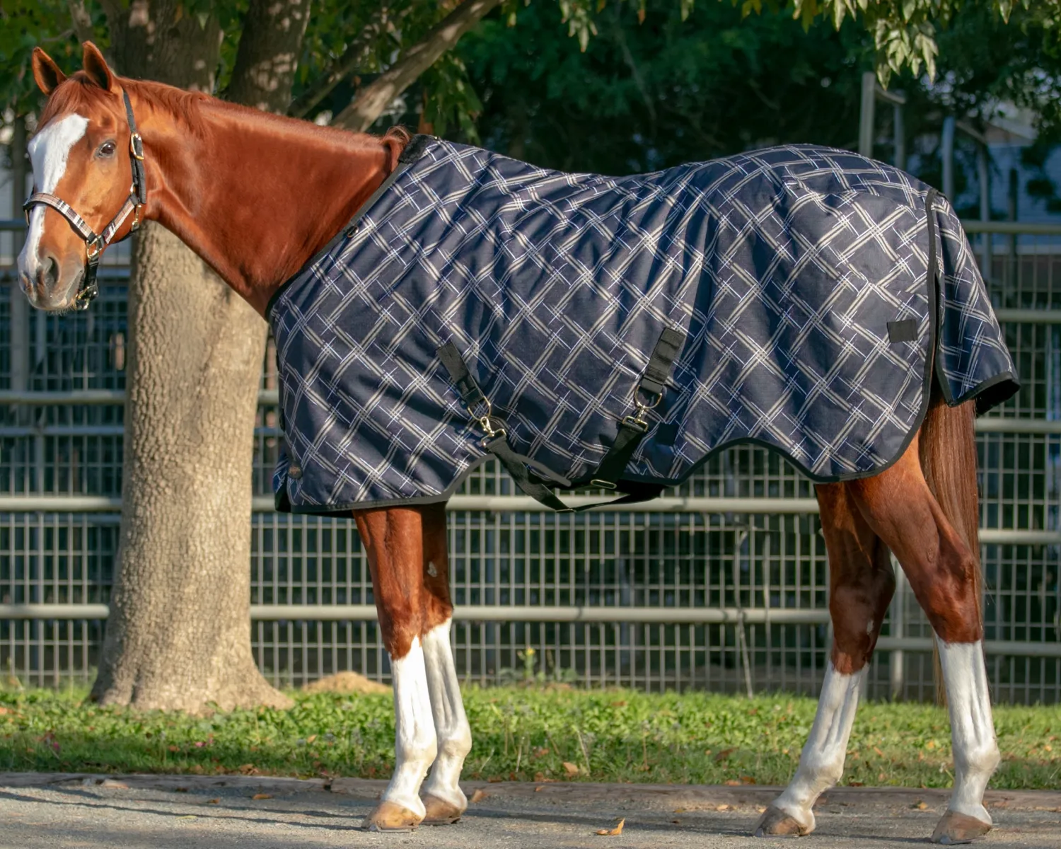 KENSINGTON ™ Pony Signature Medium Weight Turnout Blanket Outlet
