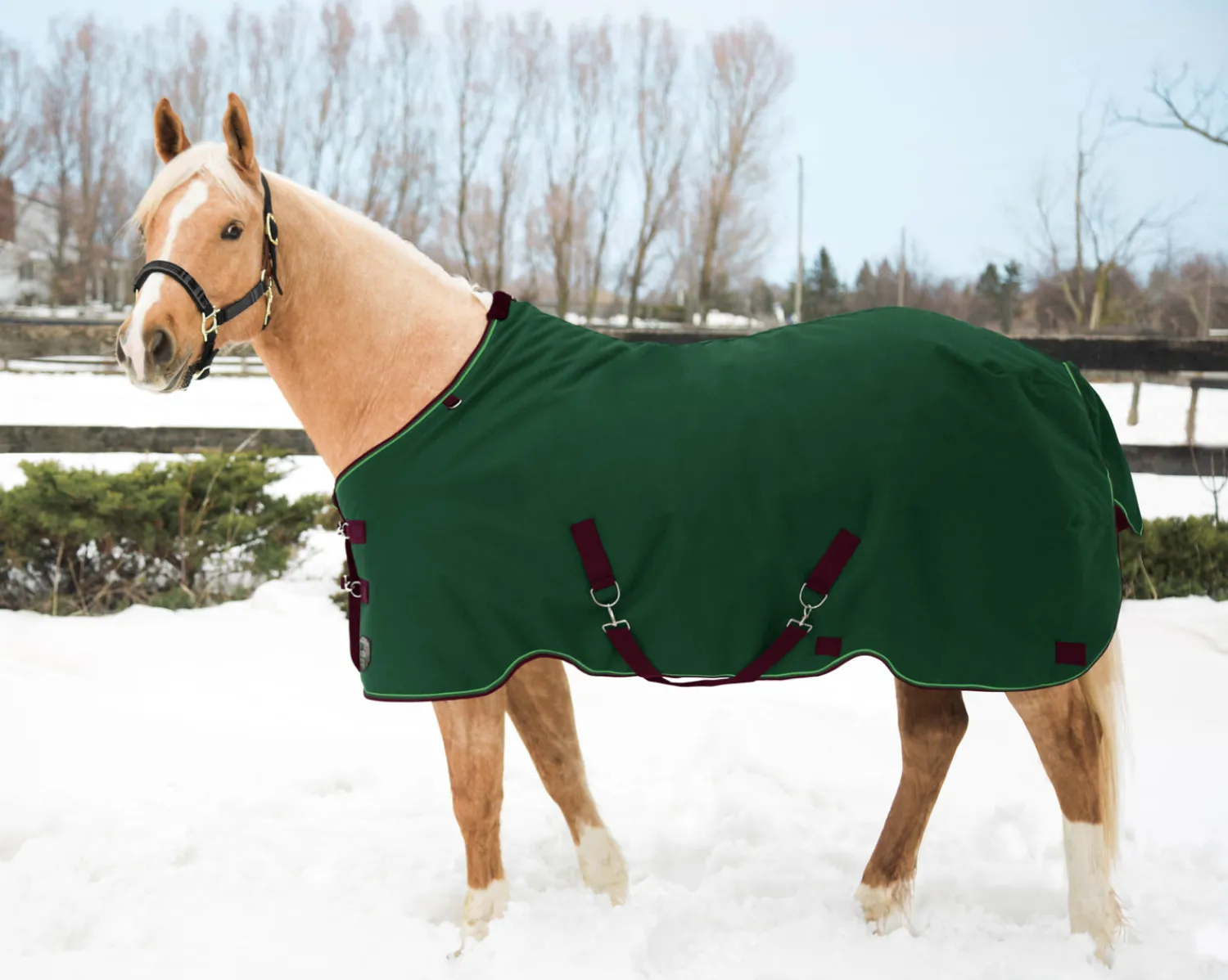 KENSINGTON ™ Pony Signature Medium Weight Turnout Blanket Outlet