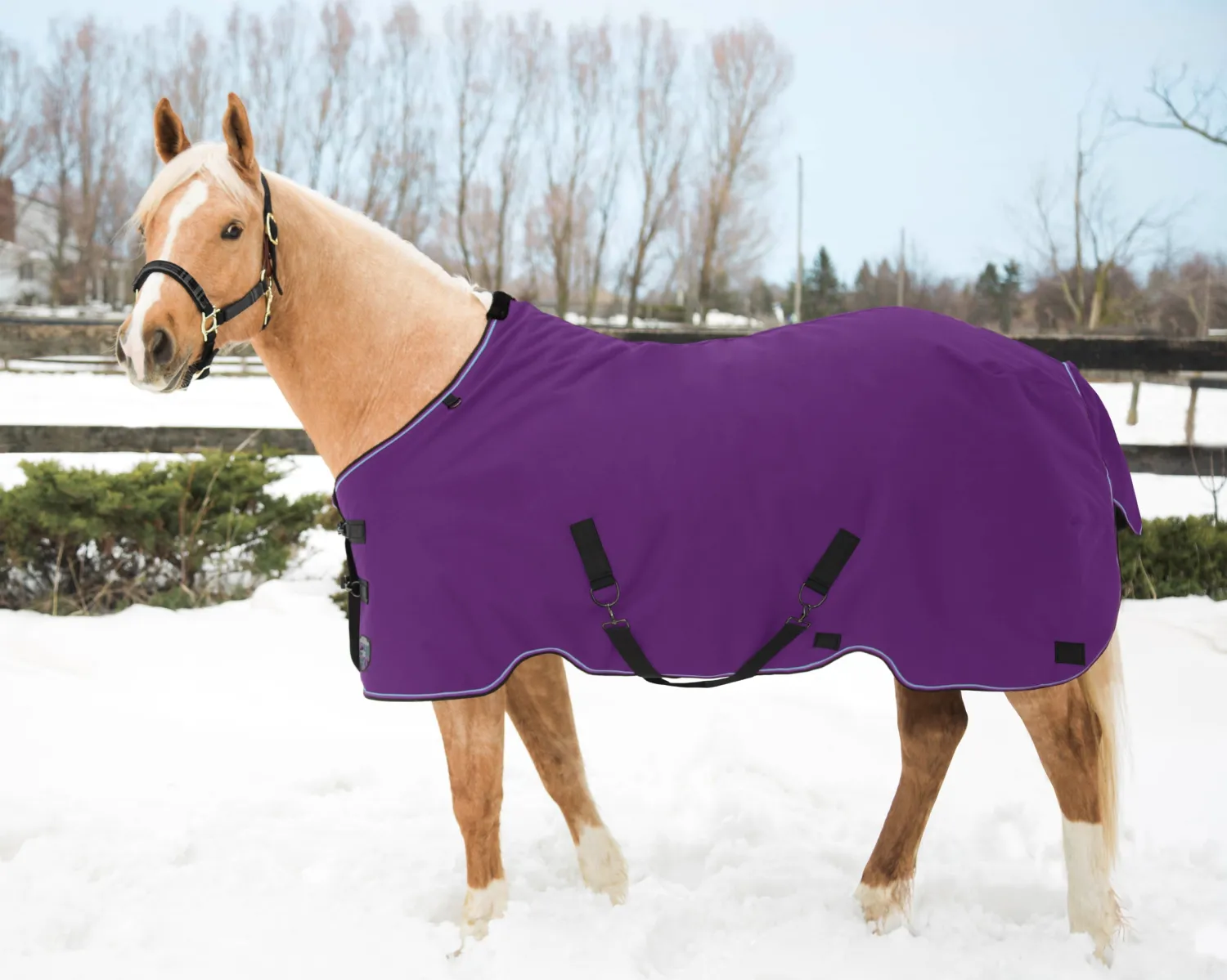 KENSINGTON ™ Pony Signature Medium Weight Turnout Blanket Outlet
