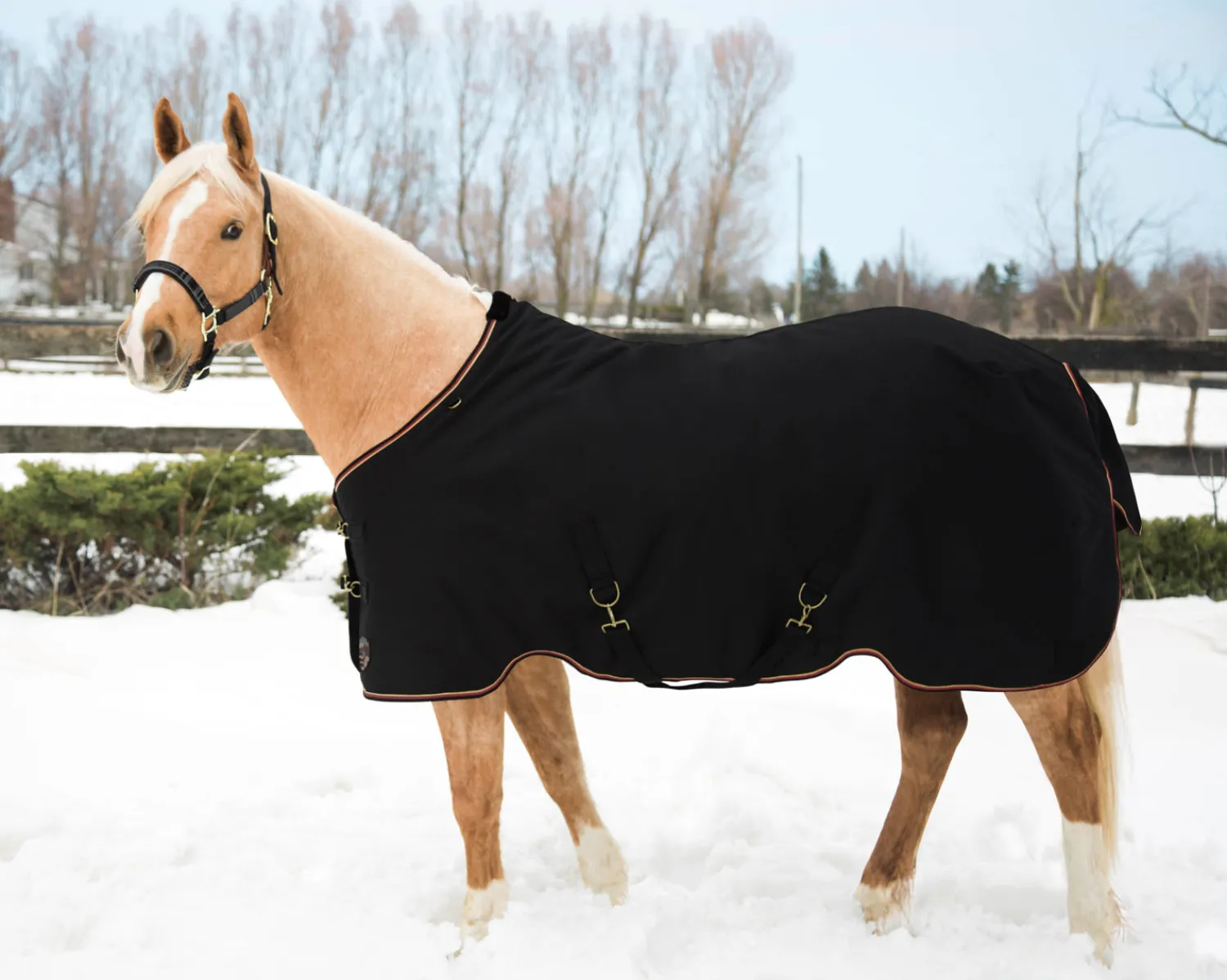 KENSINGTON ™ Pony Signature Medium Weight Turnout Blanket Outlet