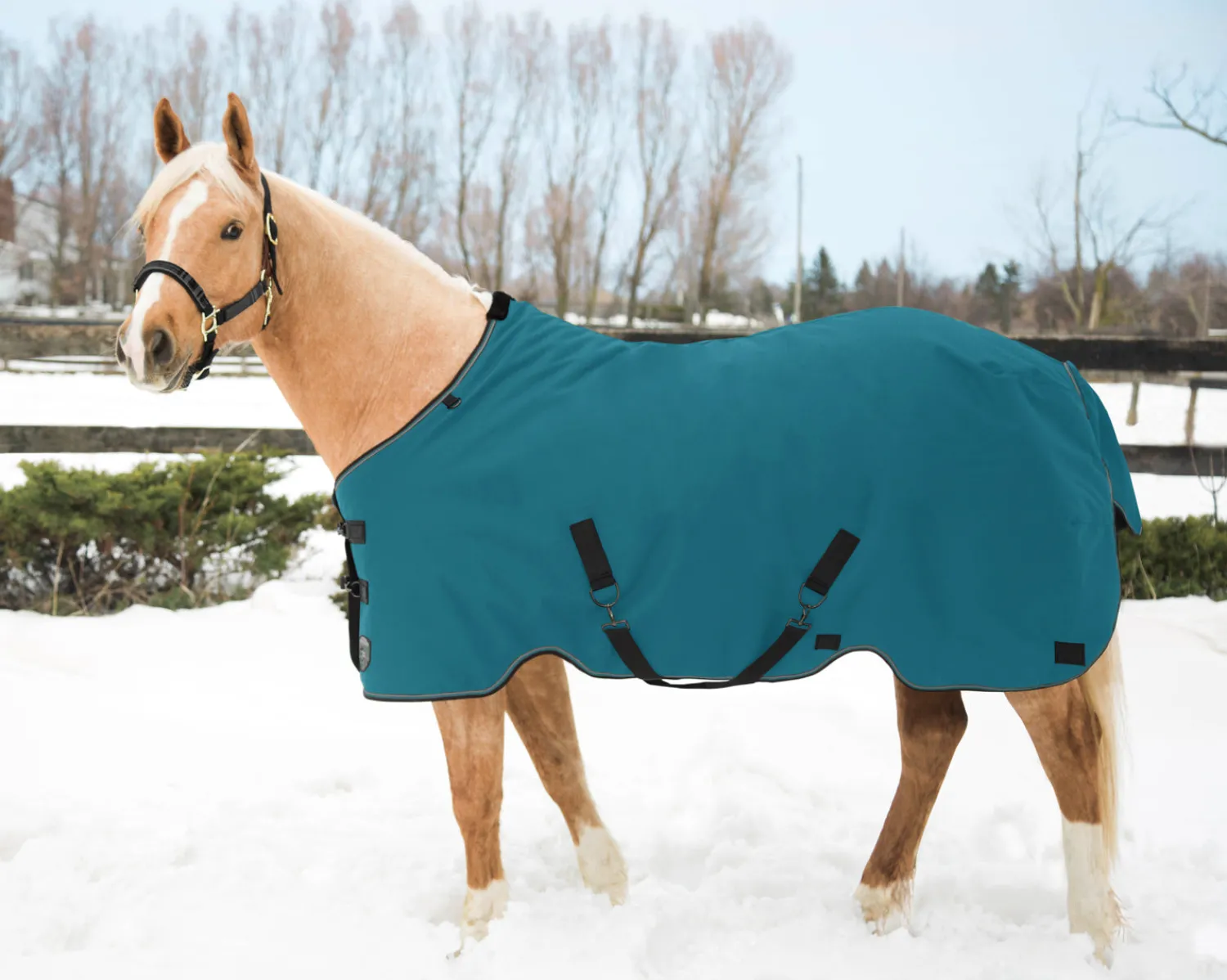 KENSINGTON ™ Pony Signature Medium Weight Turnout Blanket Outlet