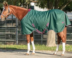 KENSINGTON ™ Pony Signature Heavyweight Turnout Blanket