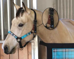 KENSINGTON ™ Premium Breakaway Halter Best