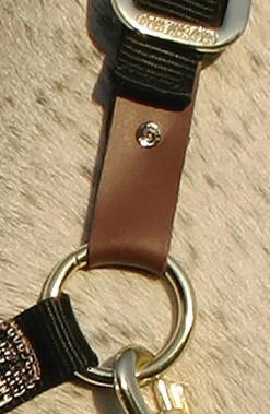 KENSINGTON ™ Premium Breakaway Halter Best