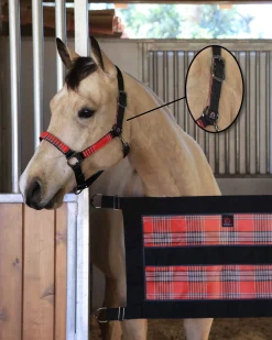 KENSINGTON ™ Premium Breakaway Halter Best