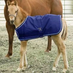 KENSINGTON ™ Signature Adjustable Large Foal Turnout Outlet