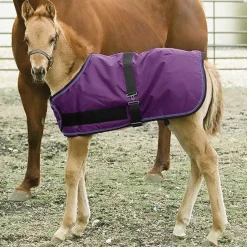 KENSINGTON ™ Signature Adjustable Large Foal Turnout Outlet
