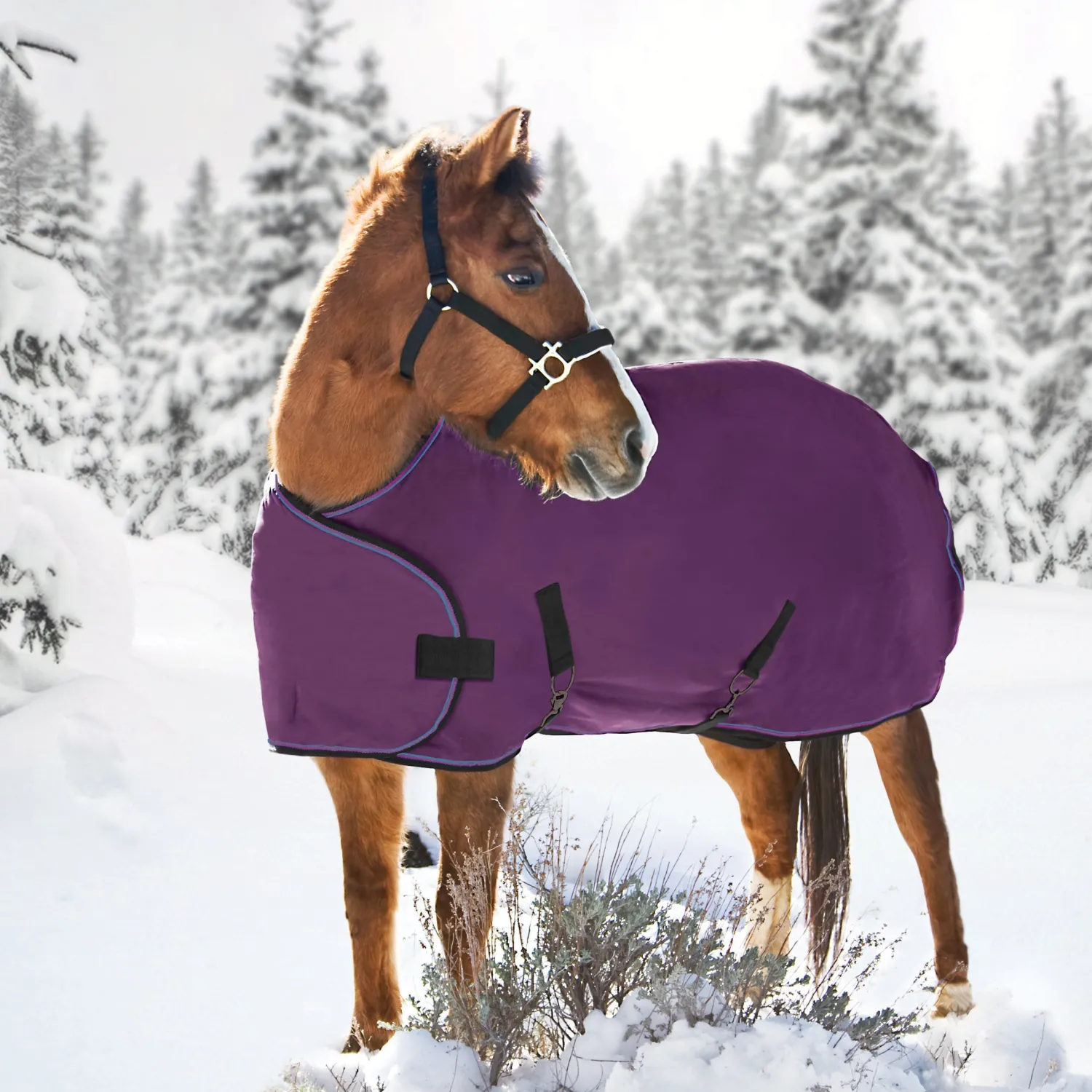 KENSINGTON ™ Signature Adjustable Yearling Turnout Blanket Clearance