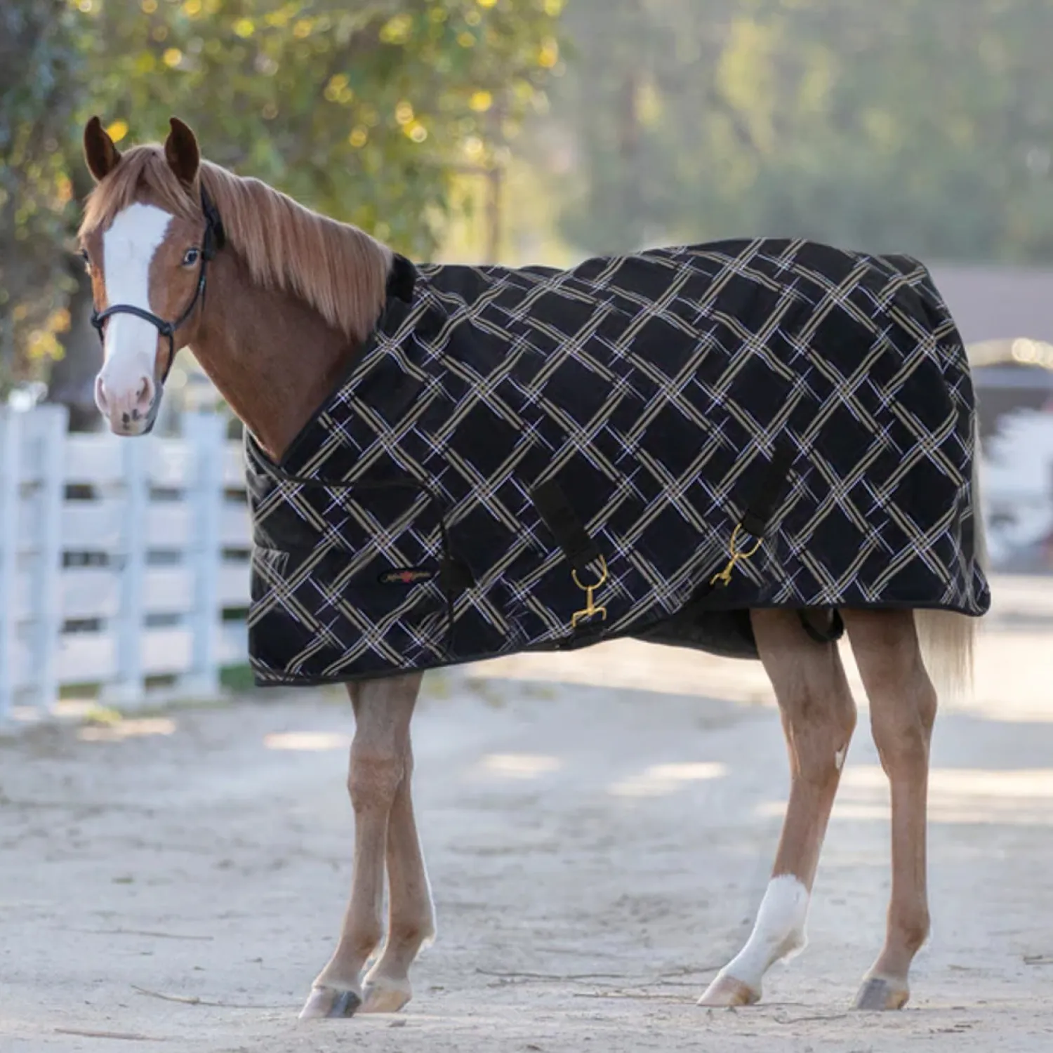 KENSINGTON ™ Signature Adjustable Yearling Turnout Blanket Clearance