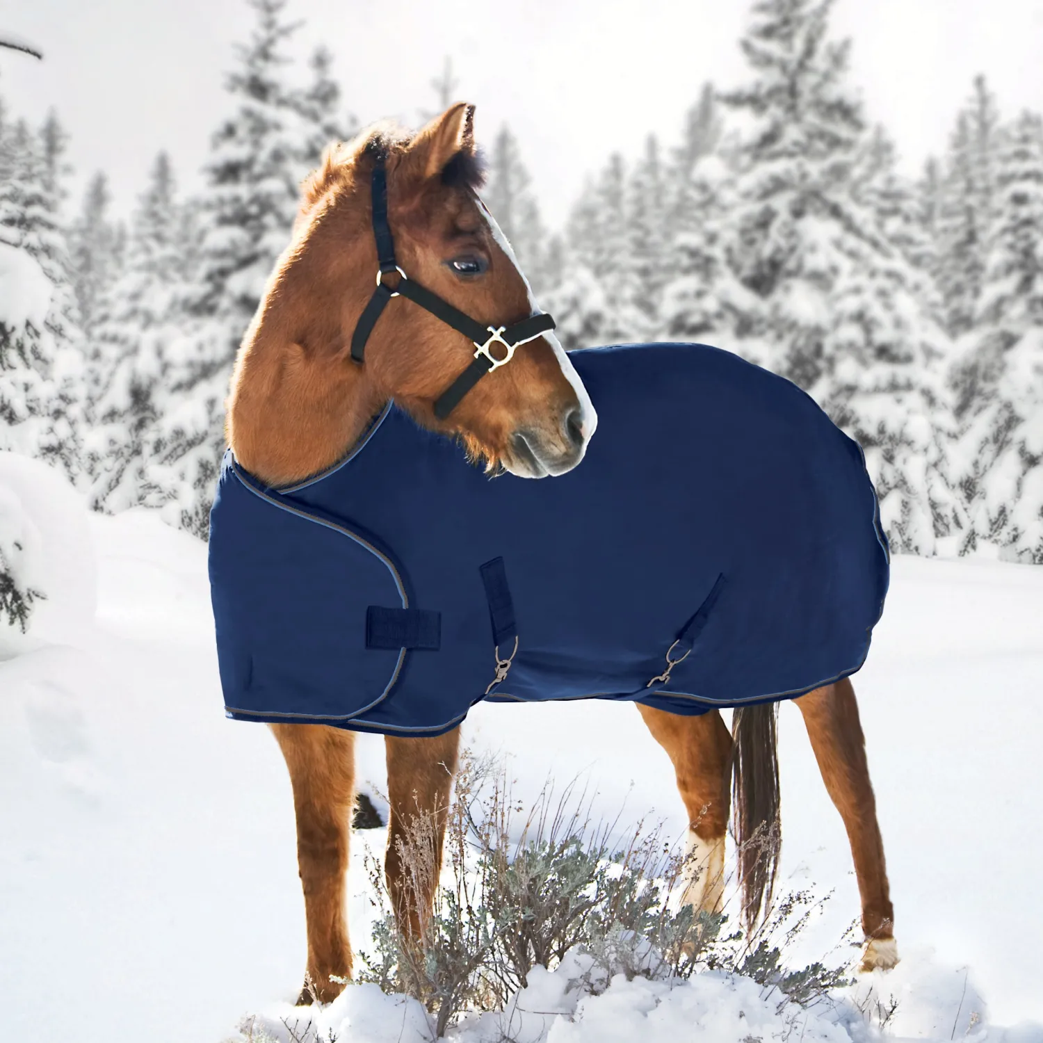 KENSINGTON ™ Signature Adjustable Yearling Turnout Blanket Clearance
