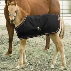 KENSINGTON ™ Signature Adjustable Small Foal Turnout Blanket New