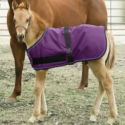 KENSINGTON ™ Signature Adjustable Small Foal Turnout Blanket New