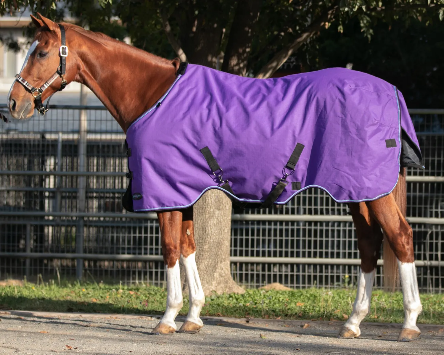 KENSINGTON ™ Signature Lightweight Turnout Blanket Discount
