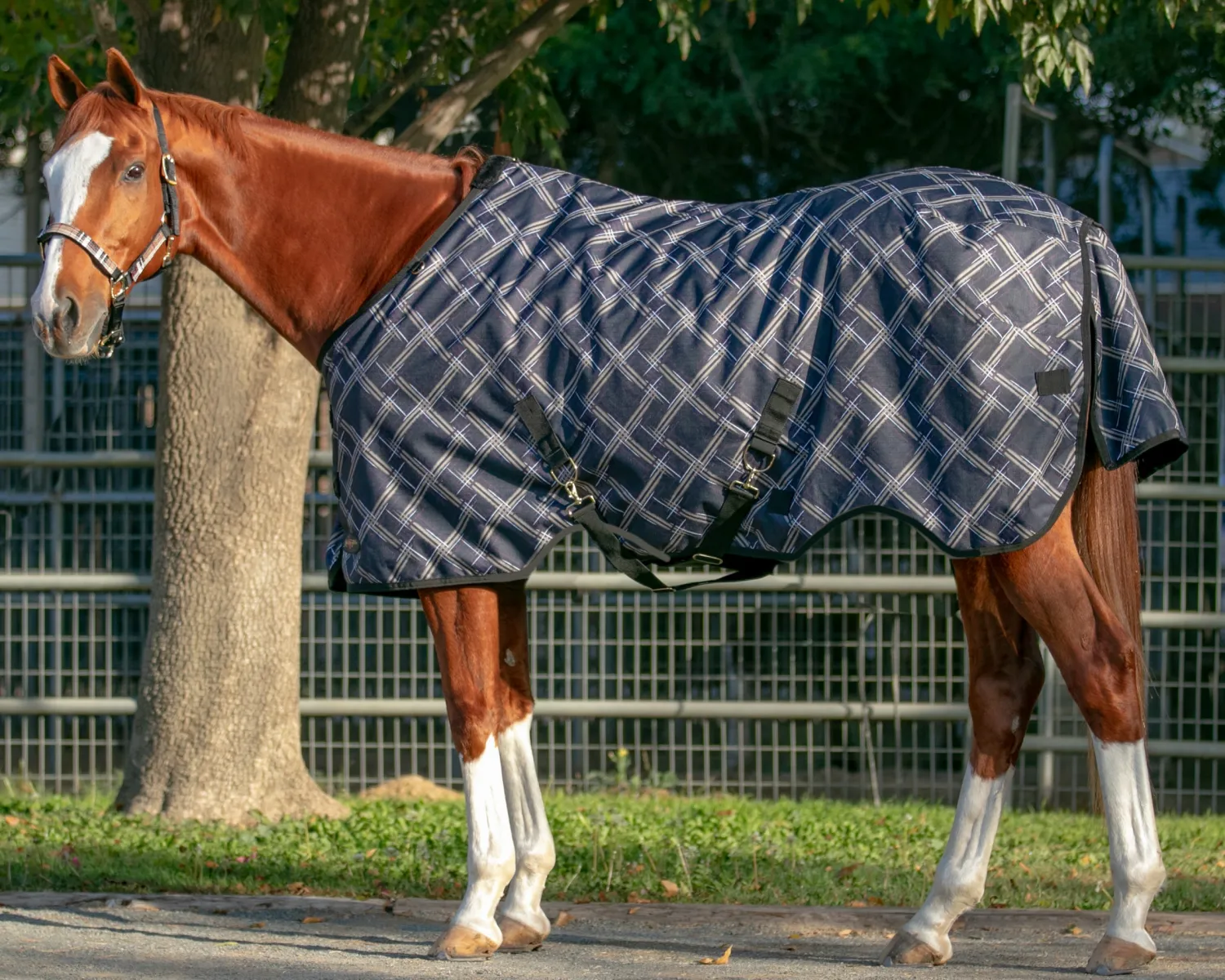 KENSINGTON ™ Signature Lightweight Turnout Blanket Discount