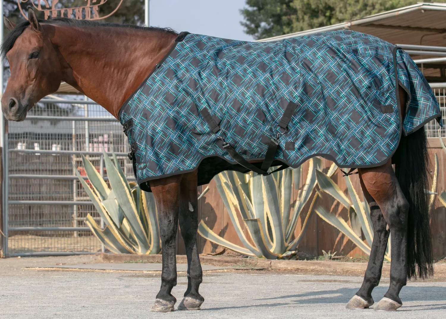 KENSINGTON ™ Signature Lightweight Turnout Blanket Discount