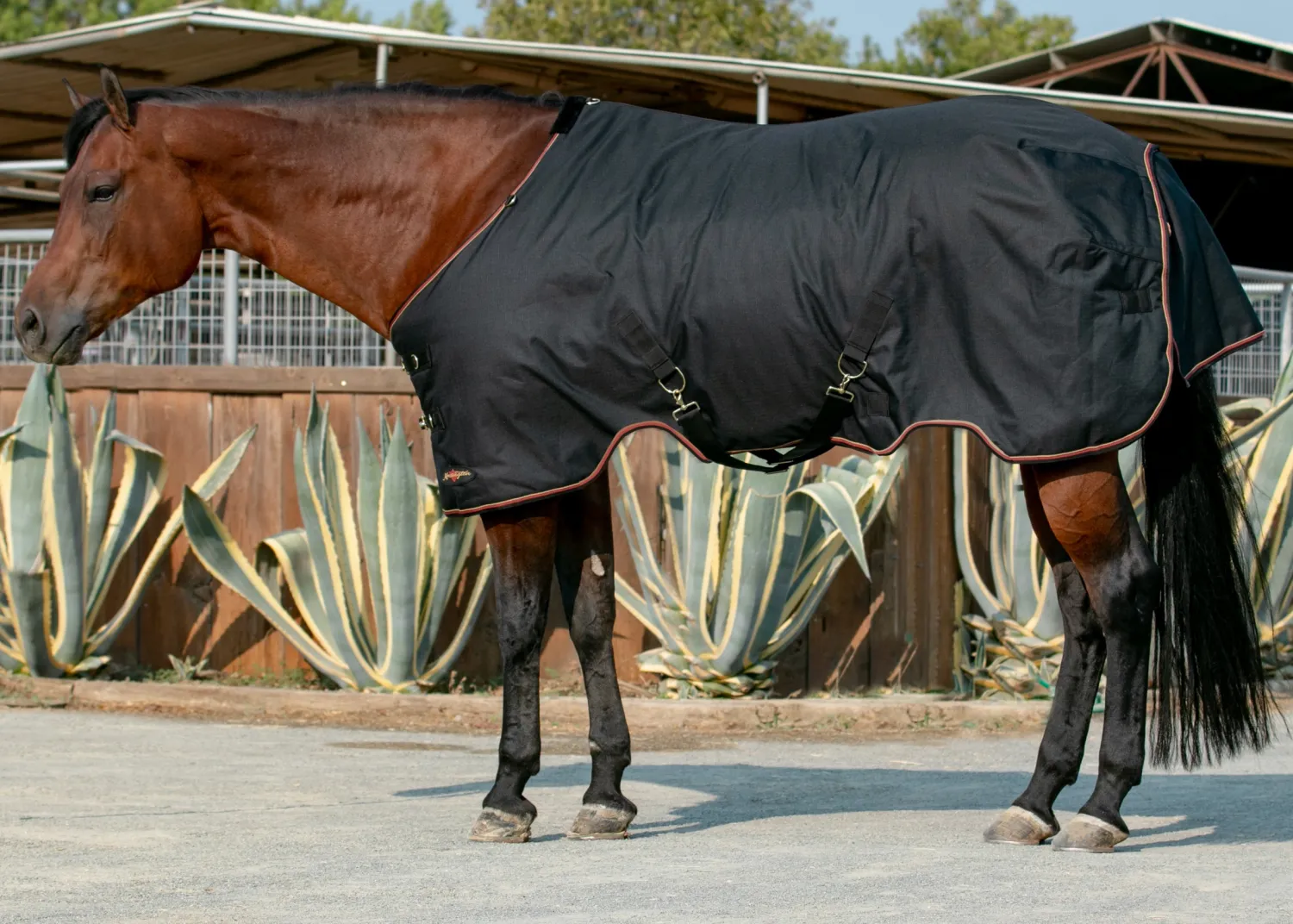 KENSINGTON ™ Signature Lightweight Turnout Blanket Discount