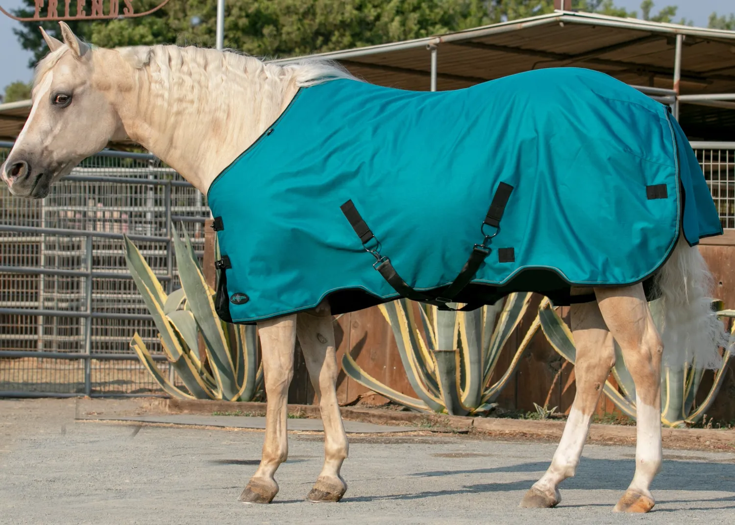 KENSINGTON ™ Signature Lightweight Turnout Blanket Discount