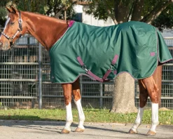 KENSINGTON ™ Signature Medium-Weight Turnout Blanket Best