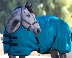 KENSINGTON ™ Signature Medium-Weight Turnout Blanket Best