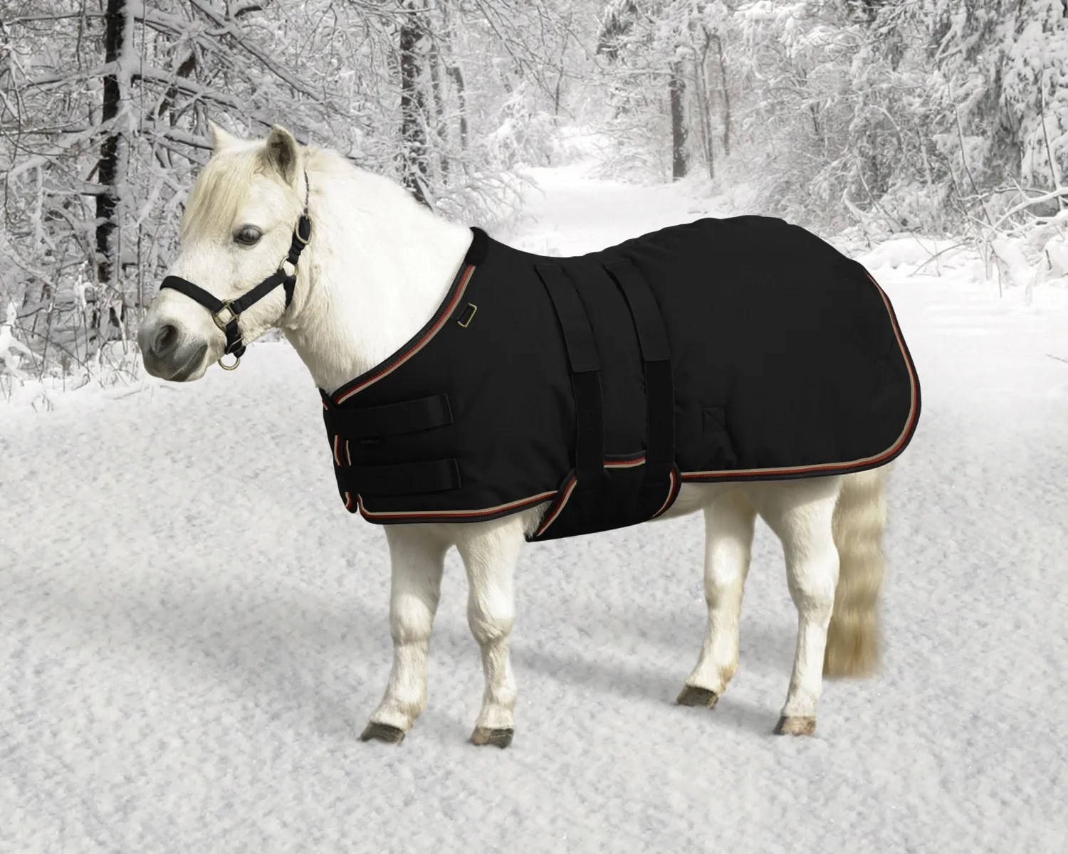 KENSINGTON ™ Signature Mini Heavyweight Turnout Blanket Online