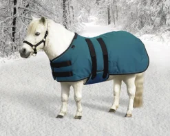 KENSINGTON ™ Signature Mini Heavyweight Turnout Blanket Online