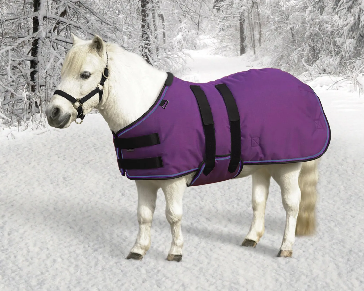 KENSINGTON ™ Signature Mini Heavyweight Turnout Blanket Online