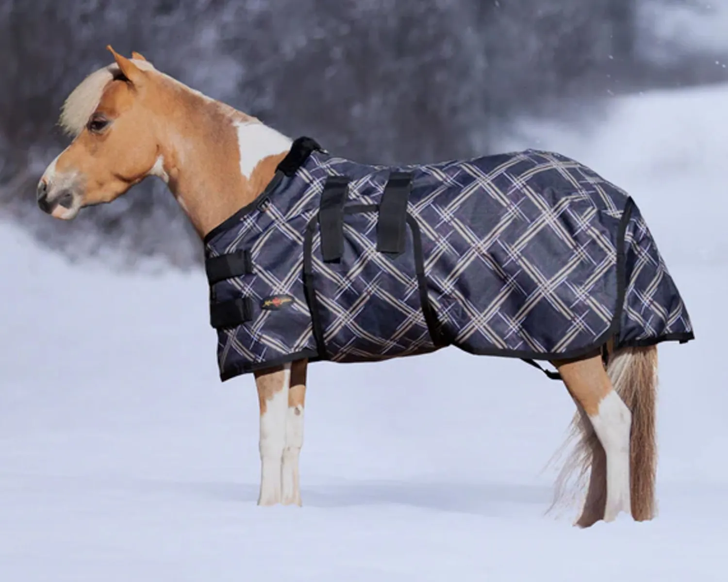 KENSINGTON ™ Signature Mini Heavyweight Turnout Blanket Online