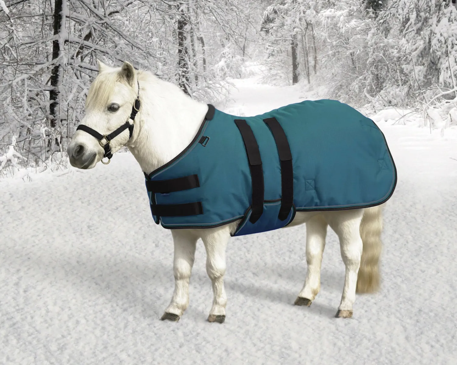KENSINGTON ™ Signature Mini Medium-Weight Turnout Blanket Online