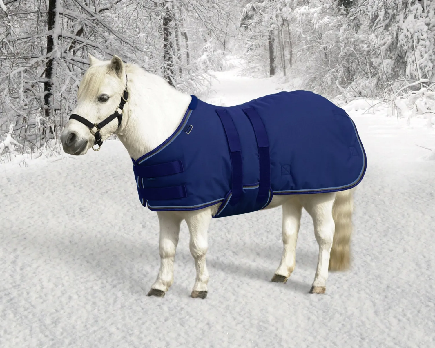 KENSINGTON ™ Signature Mini Medium-Weight Turnout Blanket Online