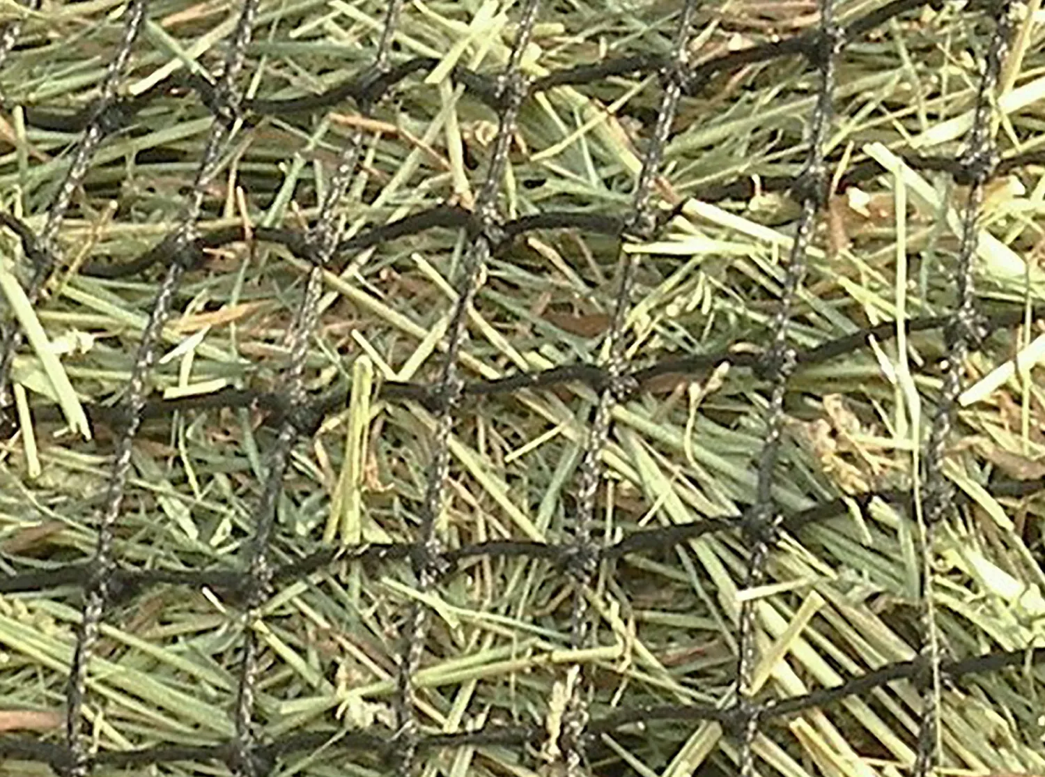 KENSINGTON ™ Slow Feed 4-Flake Hay Bag Discount