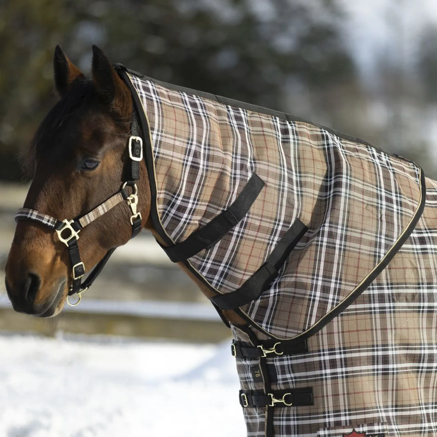 KENSINGTON ™ SuperMesh 300 Gram Heavyweight Neck Warmer Online