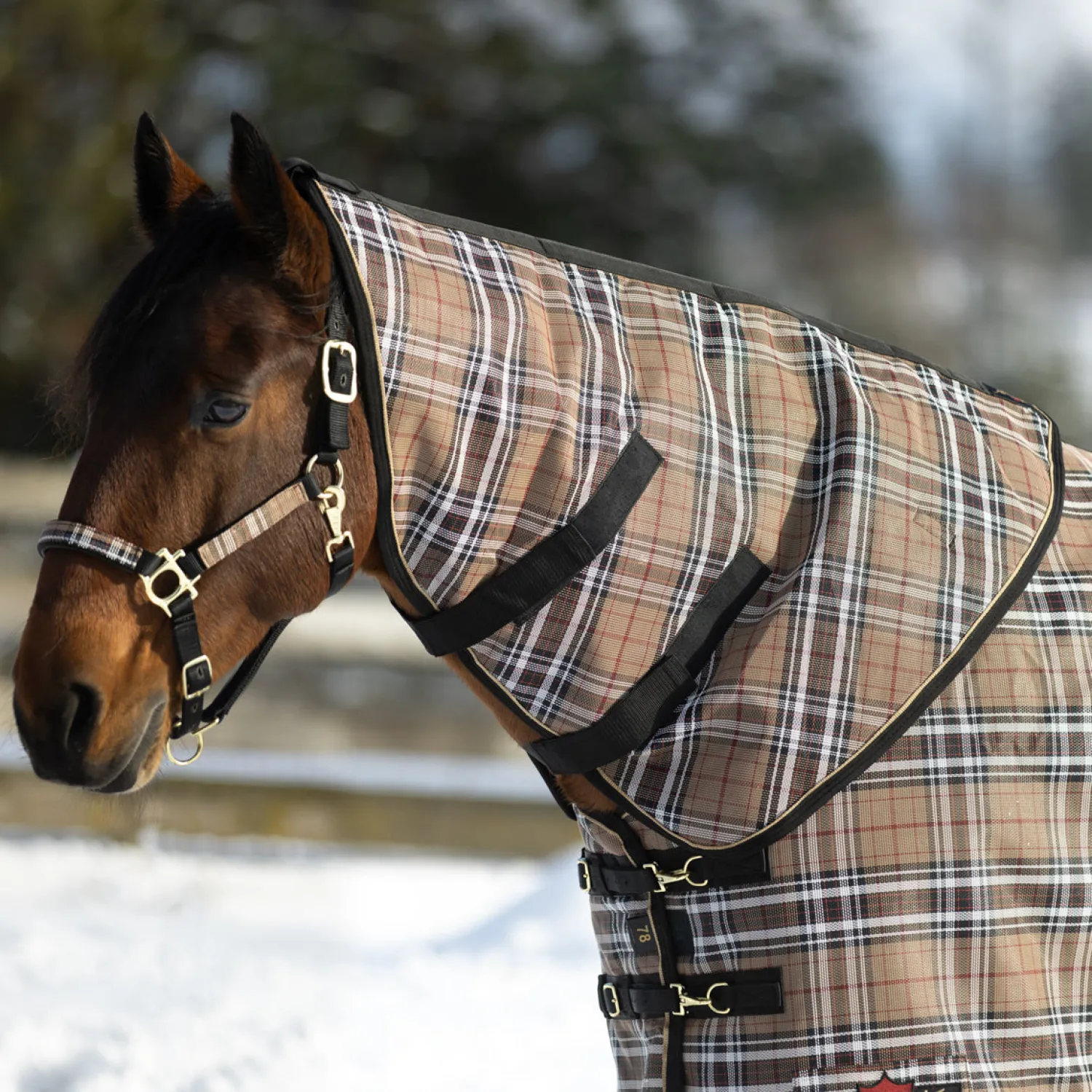 KENSINGTON ™ SuperMesh 180 Gram Medium-Weight Neck Warmer Clearance