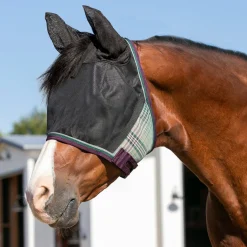 KENSINGTON ™ UViator CatchMask Protective Mask with Ears & Forelock Opening Clearance