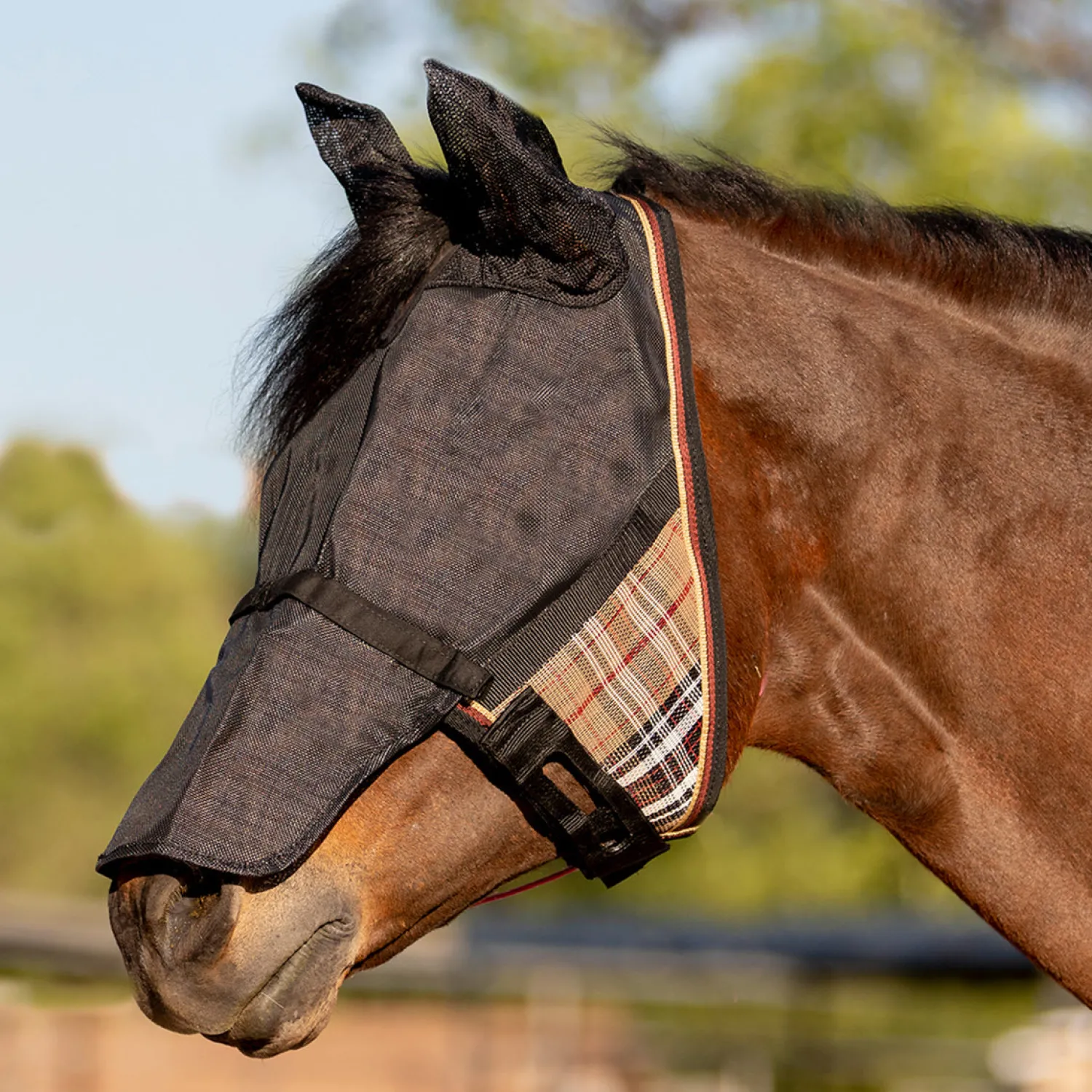 KENSINGTON ™ UViator CatchMask® with Ears, Removable Nose & Forelock Opening