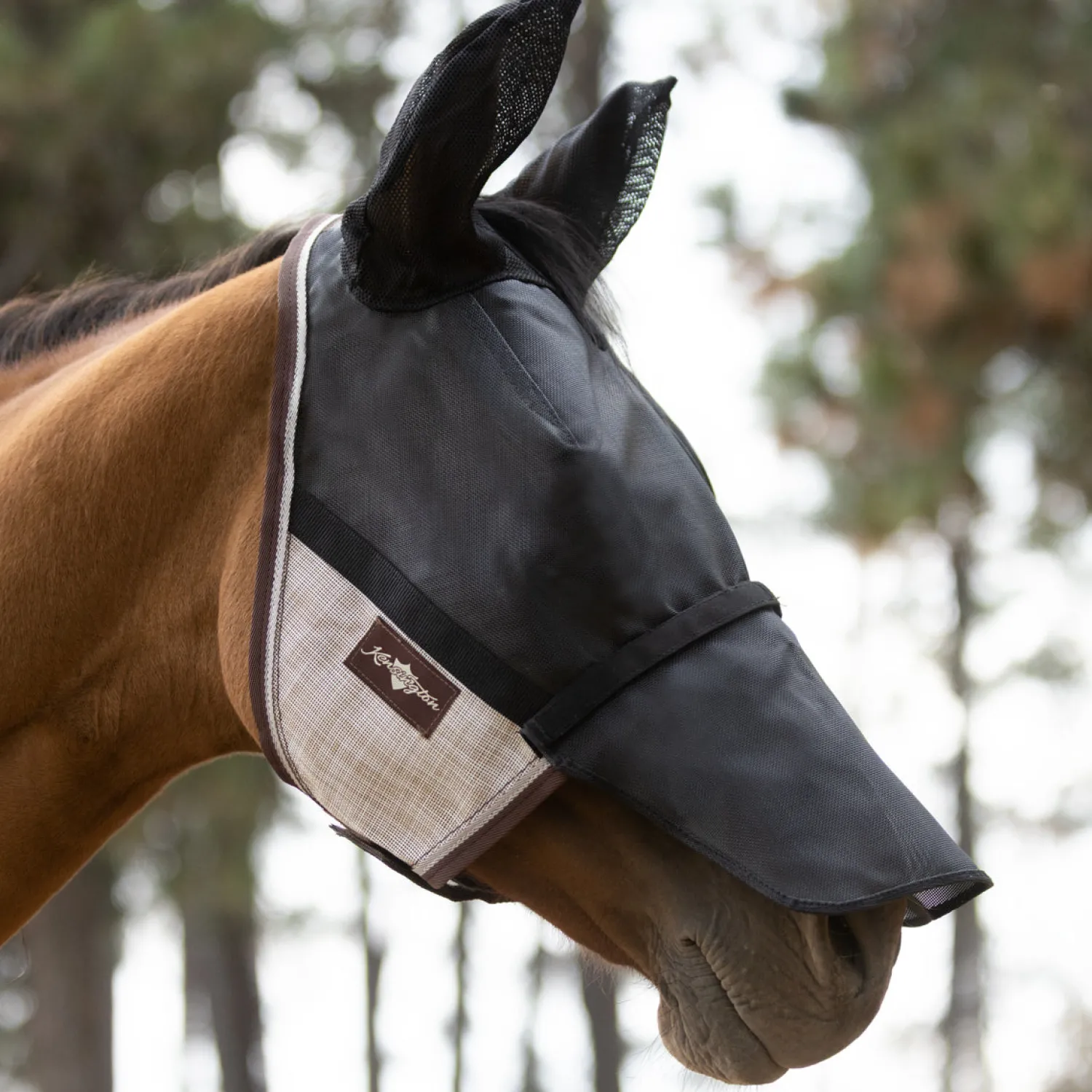 KENSINGTON ™ UViator CatchMask® with Ears, Removable Nose & Forelock Opening