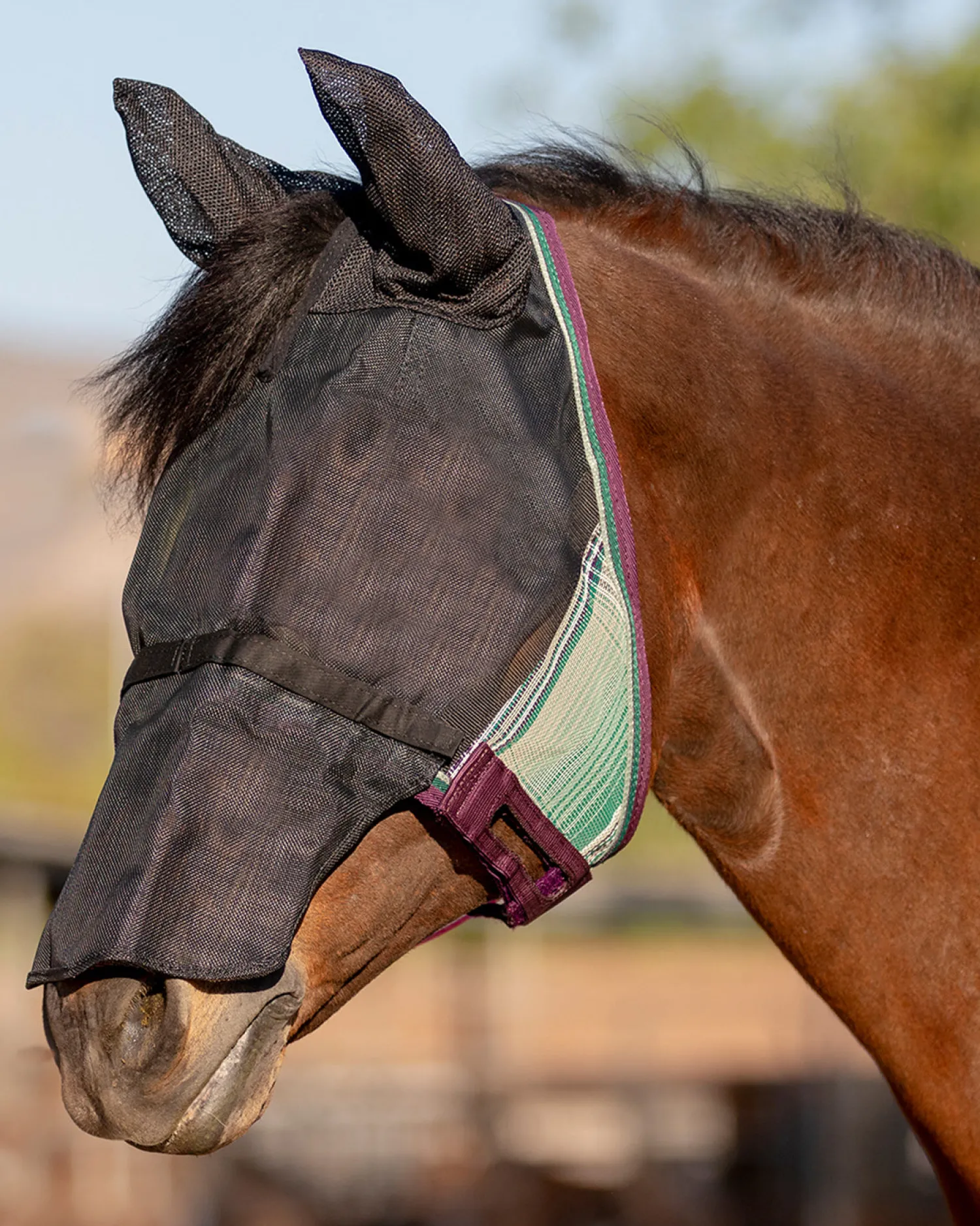 KENSINGTON ™ UViator CatchMask® with Ears, Removable Nose & Forelock Opening