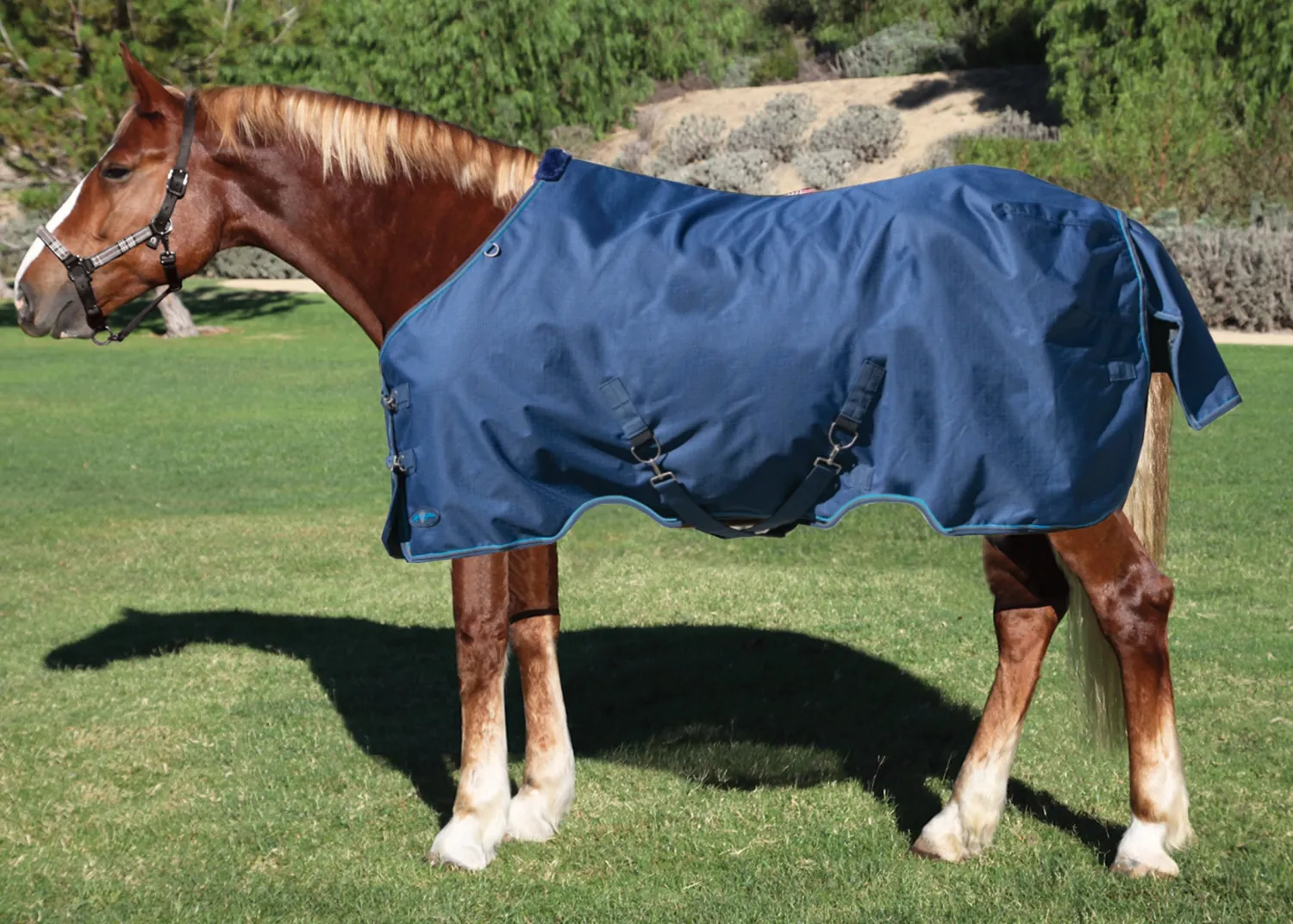KENSINGTON ™ XL Signature Medium-Weight Turnout Blanket New
