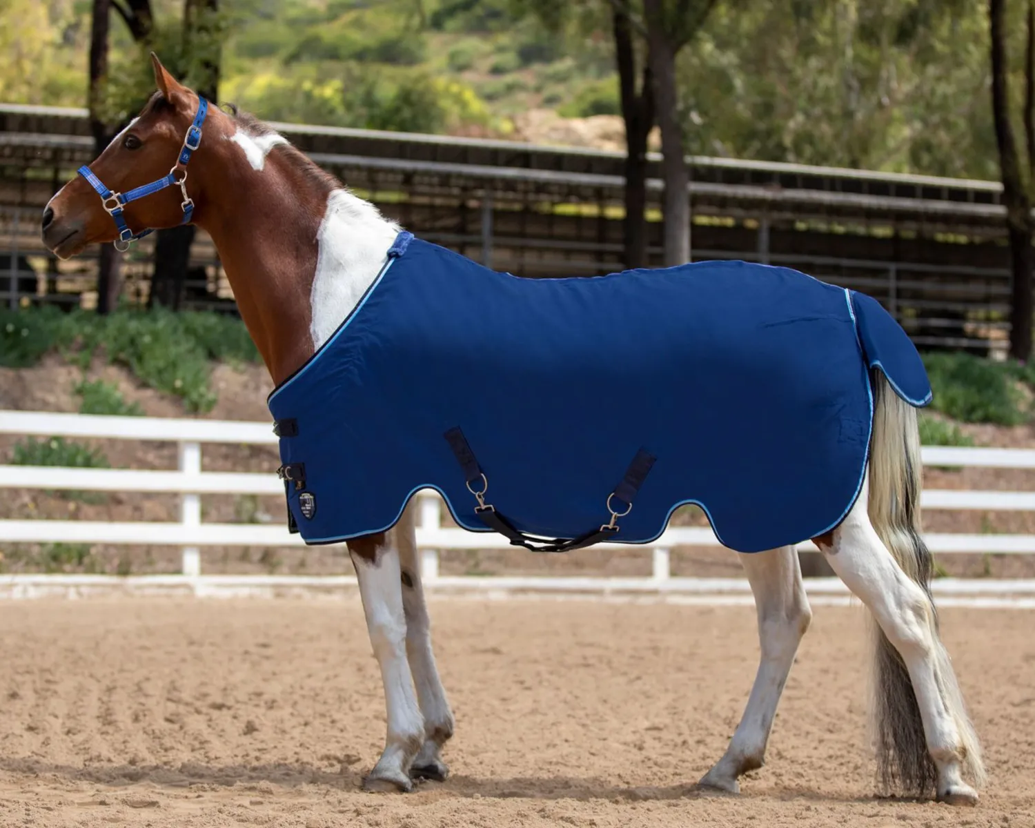 KENSINGTON ™ Mini Poly Cotton Stable Sheet Best