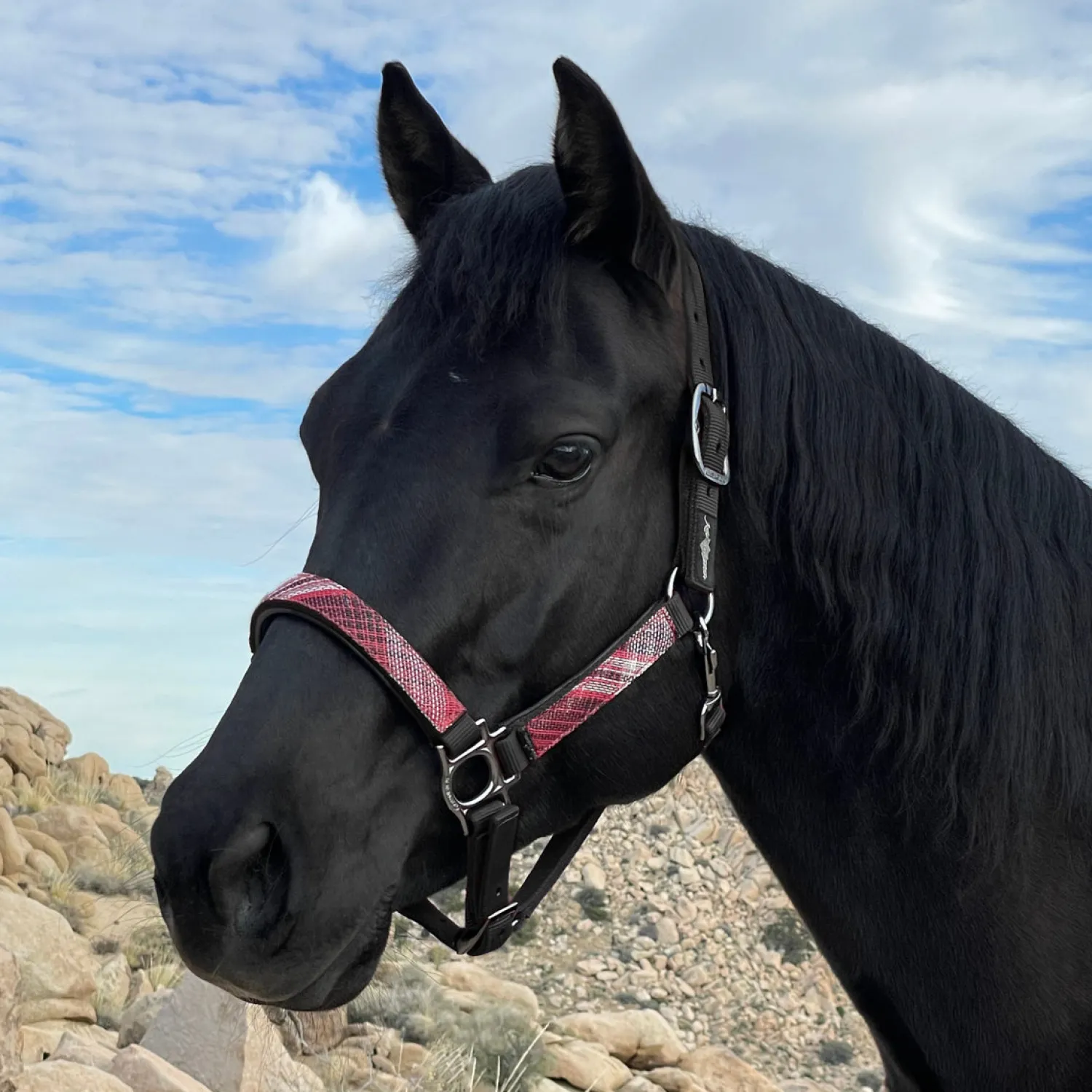 KENSINGTON ™ Premium Halter Outlet