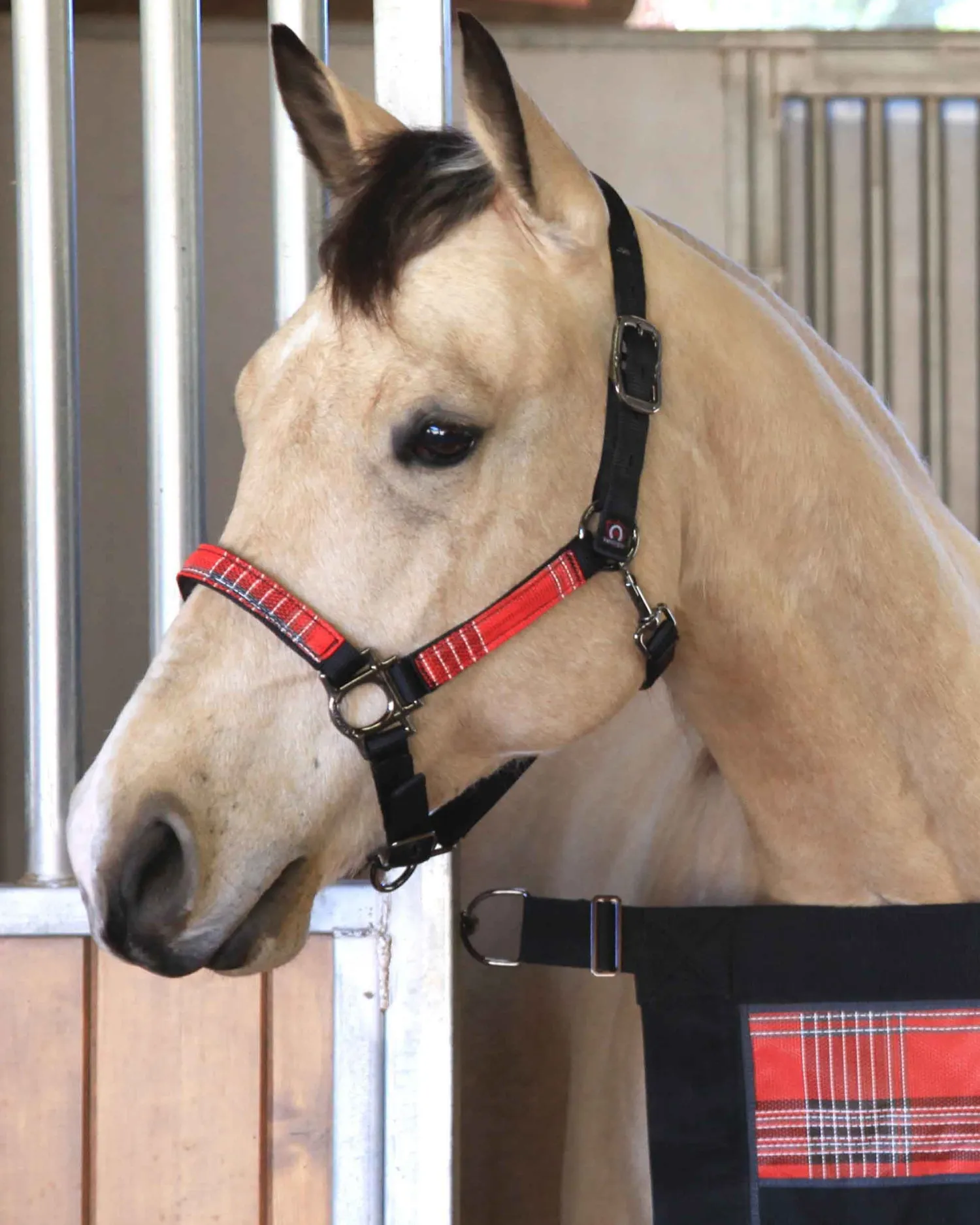 KENSINGTON ™ Premium Halter Outlet