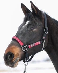 KENSINGTON ™ Premium Halter Outlet