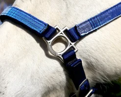 KENSINGTON ™ Premium Halter Outlet