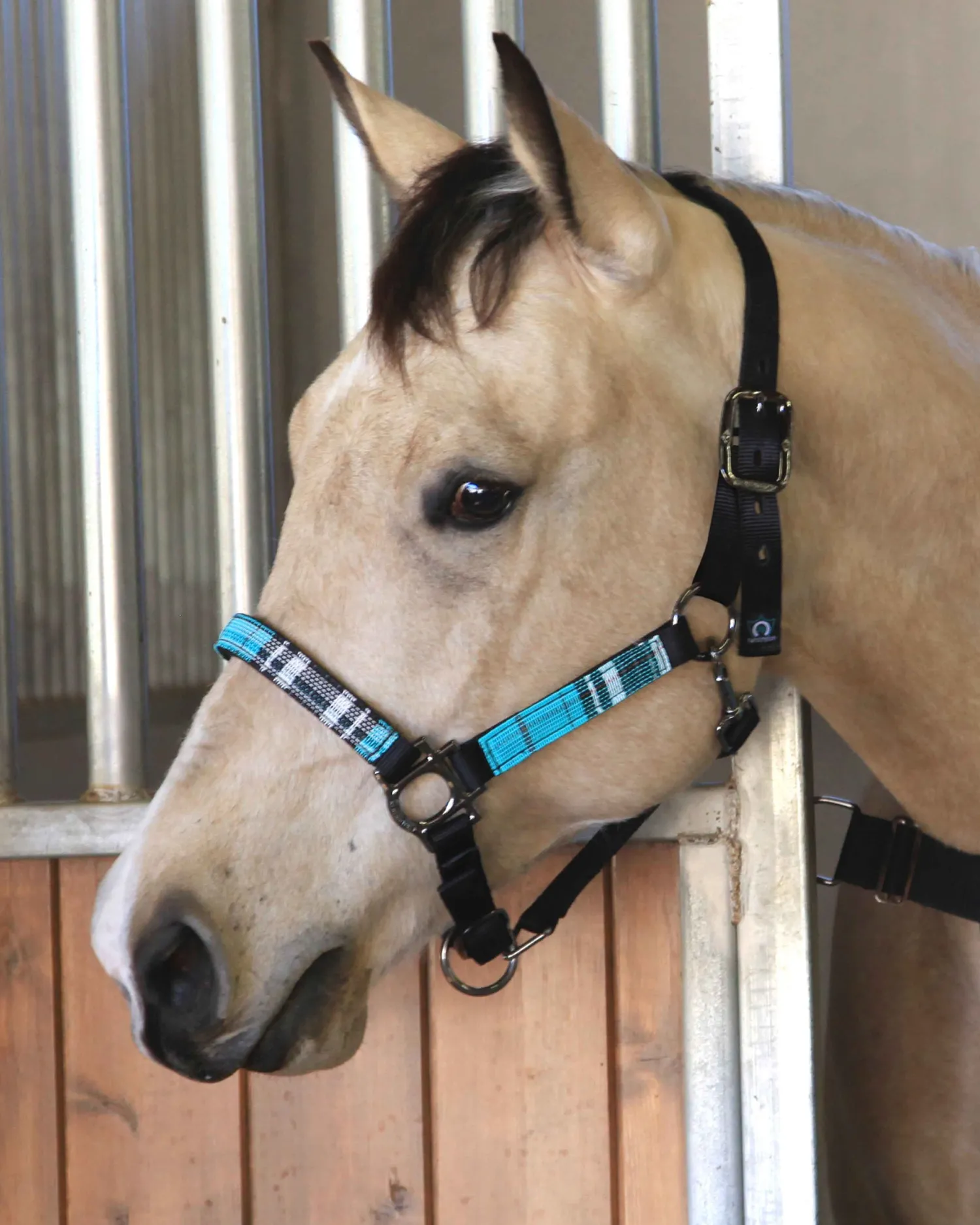 KENSINGTON ™ Premium Halter Outlet