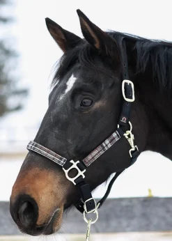 KENSINGTON ™ Premium Halter Outlet